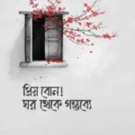 প্রিয় বোন! ঘর থেকে গন্তব্যে