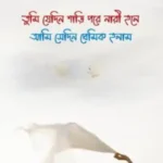 তুমি যেদিন শাড়ি পরে নারী হলে আমি সেদিন প্রেমিক হলাম